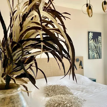 מלון La Grande Conque